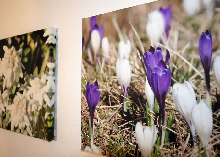 兰多林斯山区酒店 酒店 3*