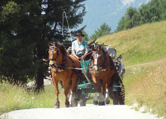 兰多林斯山区酒店