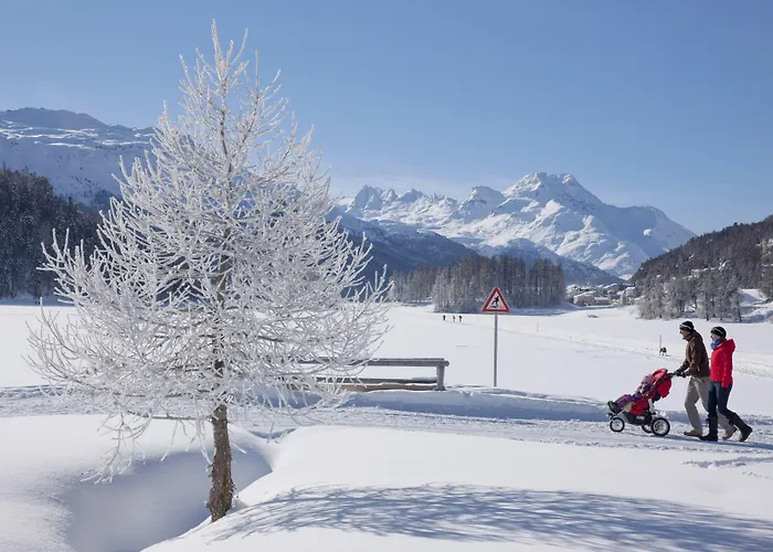 酒店 兰多林斯山区酒店